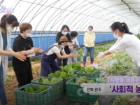 [KBS 6시 내고향] 사람을 보듬는 ‘사회적 농업’ - 전북 완주