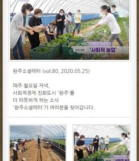 완주소셜레터 (vol.80, 2020.05.25)