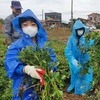 [aT로컬푸드를 활용한 사회적 경제모델 발굴 사업] 꼬마 농부의 사회적 농업 체험기