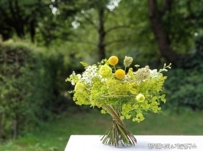 ../img_up/shop_pds/wanjucb/contents/store/yu-han-hoe-sa-jeon-buk-ra-wo-ga-yeo1660285896.jpg